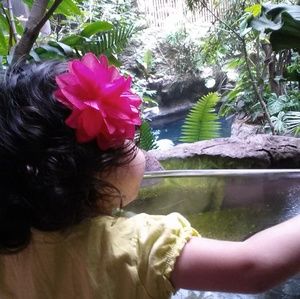 Meet your Posher, Karol